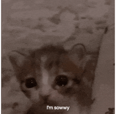 a close up of a kitten with the words i 'm sowwy written below it