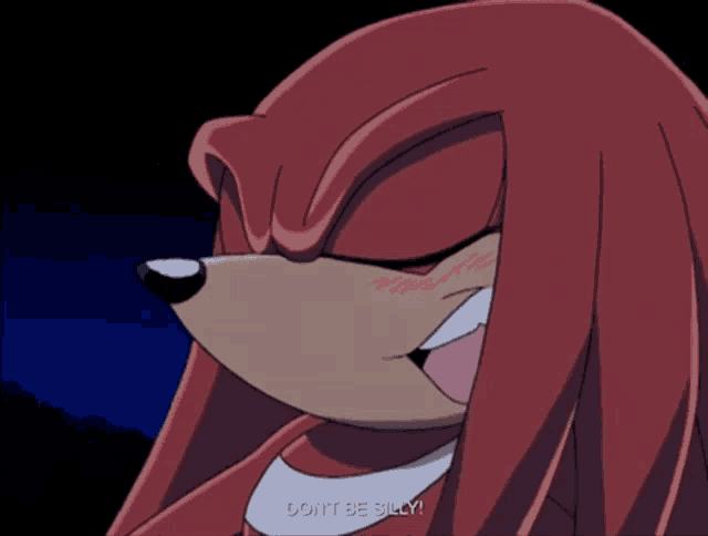 Sonic Knuckles GIF - Sonic Knuckles Dont Be Silly GIFs