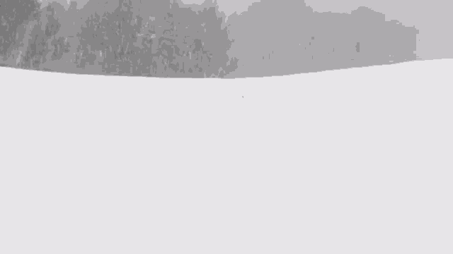 a person is riding a snowboard down a snow covered slope .