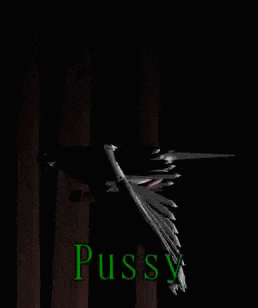 a black and white bird is flying in the dark with the word pussy written in green .
