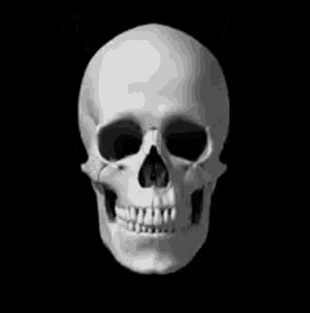 a black and white photo of a human skull with its mouth open and teeth .