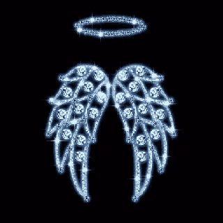 a pair of angel wings with a halo made of diamonds .