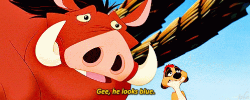 The Lion King Gee He Looks Blue GIF - The Lion King Gee He Looks Blue Timon And Pumbaa GIFs