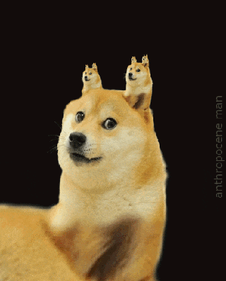 a dog with two cats on its head and the words " anthropocene man " below it