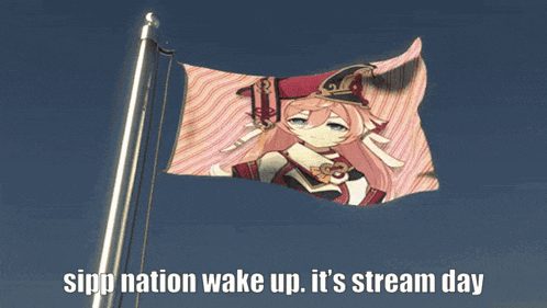 a flag that says sipp nation wake up it 's stream day on it