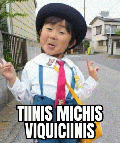 Tinis Michis GIF - Tinis Michis Viquicinis GIFs