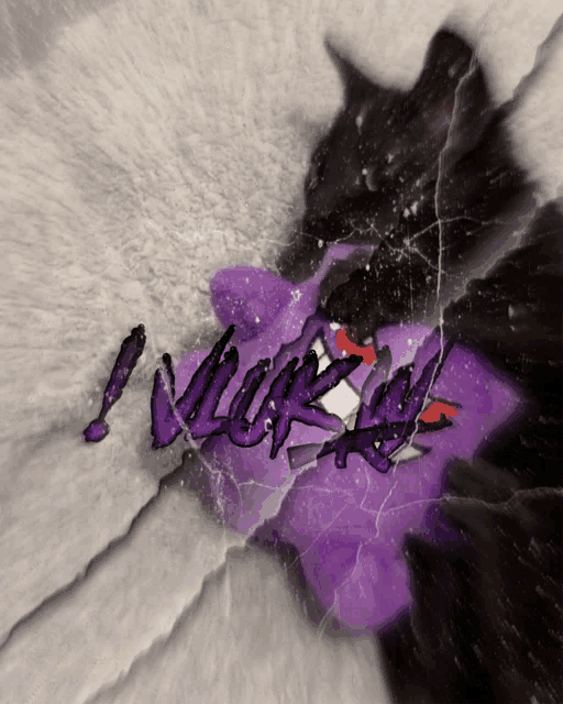 a picture of a black cat with purple letters that says ' nikki ' on it