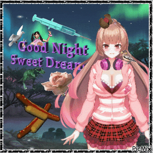 a picture of a girl with the words good night sweet dream written on it