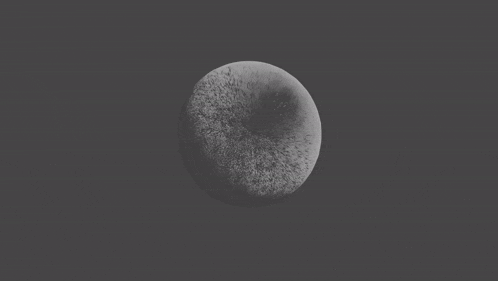 a black and white photo of a furry ball on a gray background .