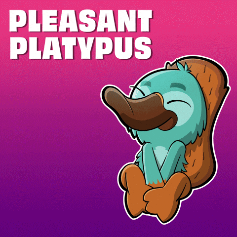 a cartoon platypus with the words pleasant platypus behind it