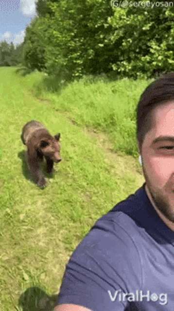 Bear Chasing Viralhog GIF - Bear Chasing Viralhog Running GIFs