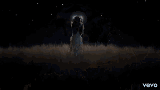 a woman in a white dress is standing in a field at night holding a light in her hand .