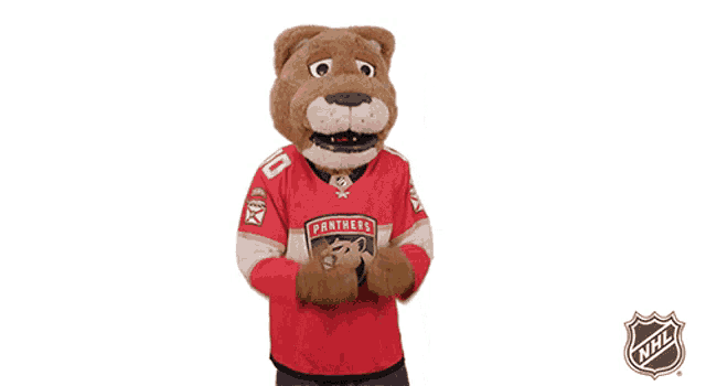 a mascot for the panthers is wearing a red shirt