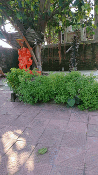 a brick walkway with a few plants growing on the side