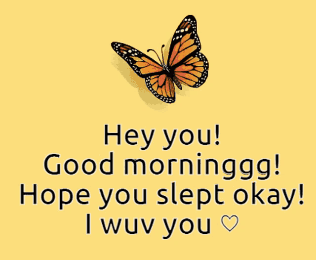 a greeting card with butterflies and the words " hey you good morninggg hope you slept okay "