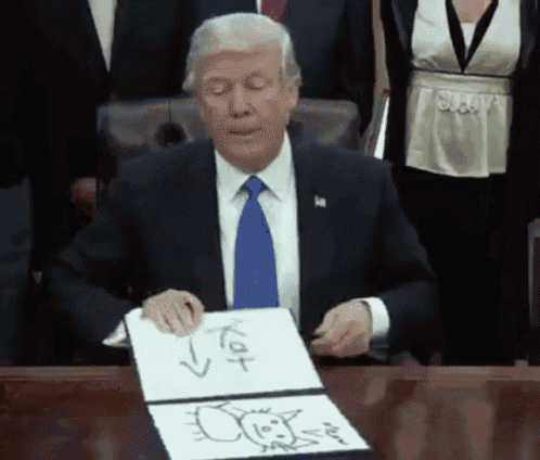 Trump Potus GIF - Trump Potus Kat GIFs