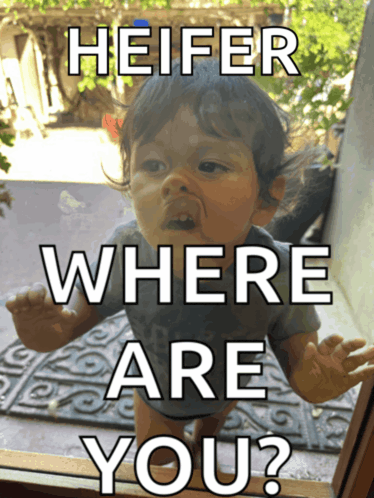 a baby looking out a window with the caption heifer where are you ?