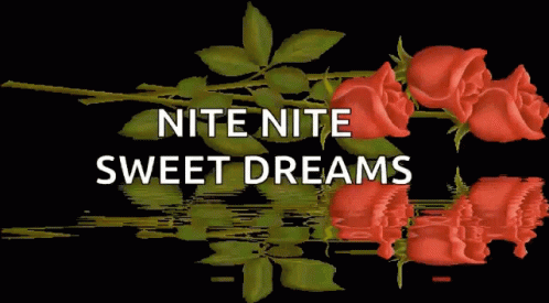 Nite Nite Sweet Dreams GIF - Nite Nite Sweet Dreams Flowers GIFs