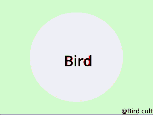Bird Bird Cult GIF - Bird Bird Cult GIFs
