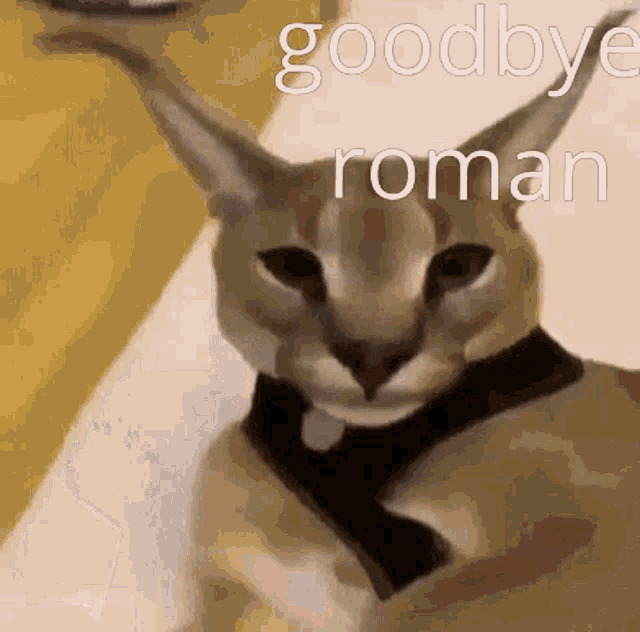 Roman Goodbye GIF - Roman Goodbye Goodbye Roman GIFs