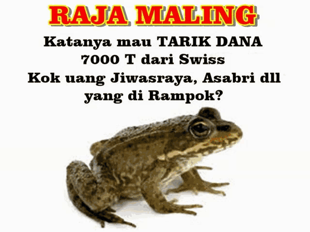 a picture of a frog with the words raja maling