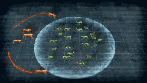 a computer generated image of a circle with a bunch of animals inside of it