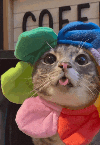 a cat wearing a hat with a flower on it sticks its tongue out in front of a sign that says coffee