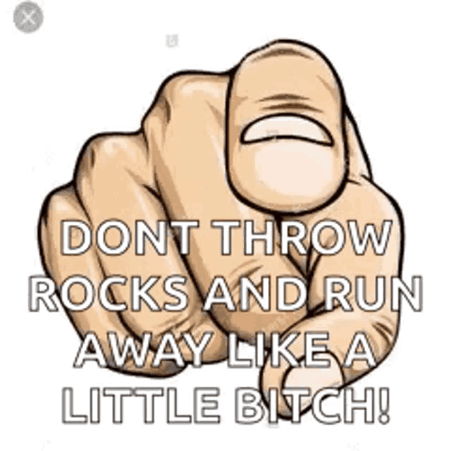 a rock with the words `` dont throw rocks and run away like a little bitch '' on it