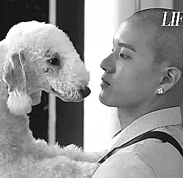 a man with a shaved head is holding a small white poodle