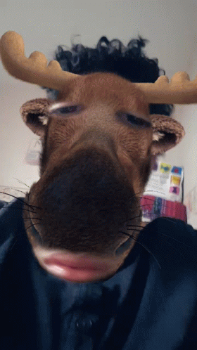 Euh Reindeer Filter GIF - Euh Reindeer Filter Head Shaking GIFs
