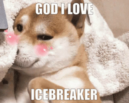 Icebreaker I Love Icebreaker GIF - Icebreaker I Love Icebreaker Icebreaker Love GIFs