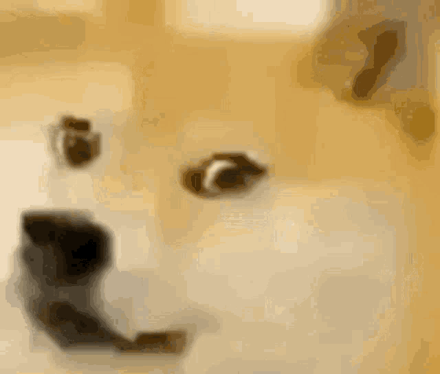 Doge Smile GIF - Doge Dog Smile GIFs