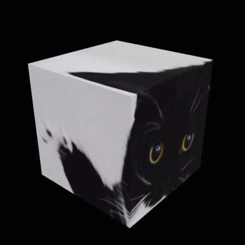 Uni Cat GIF - Uni Cat Cat Cube GIFs