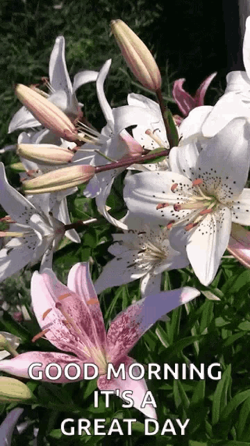 a bunch of flowers with the words good morning it 's a great day on it