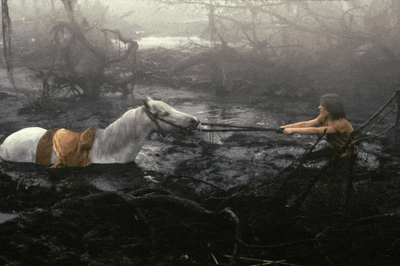 a man is pulling a horse through a muddy area