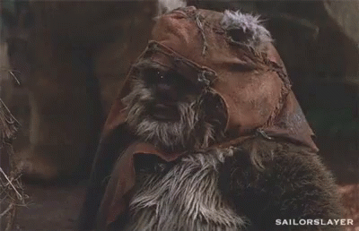 What The Wicket GIF - What The Wicket Confused GIFs