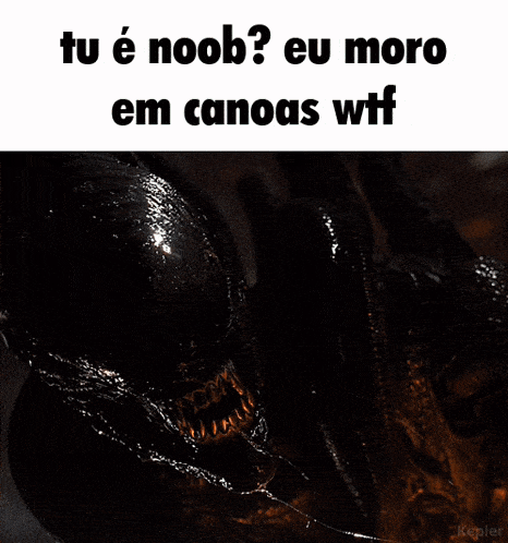 a picture of an alien with the words tu e noob eu moro em canoas wtf below it
