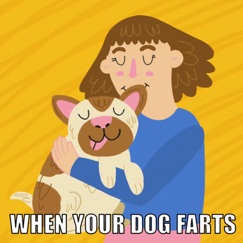 Dog Fart When Your Dog Farts GIF