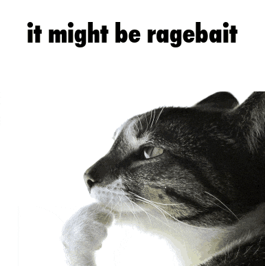 a cat with the words it might be ragebait on the bottom