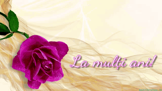 a greeting card that says la multi ani with a purple rose