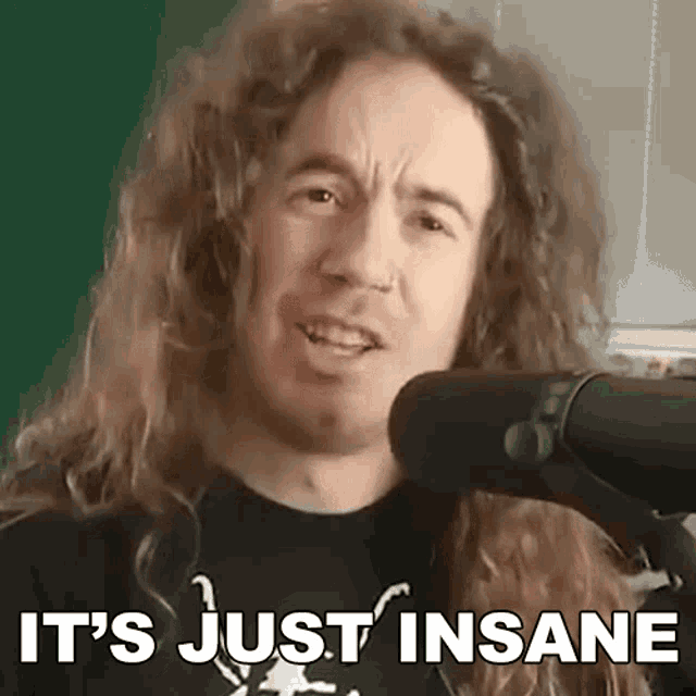 a man with long hair is standing in front of a microphone and says it 's just insane .