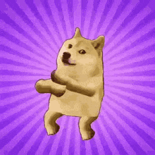 a doge is jumping in the air on a purple background .