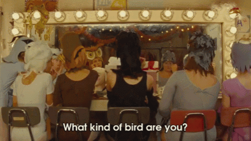 a group of women are sitting in front of a mirror with the words " what kind of bird are you "