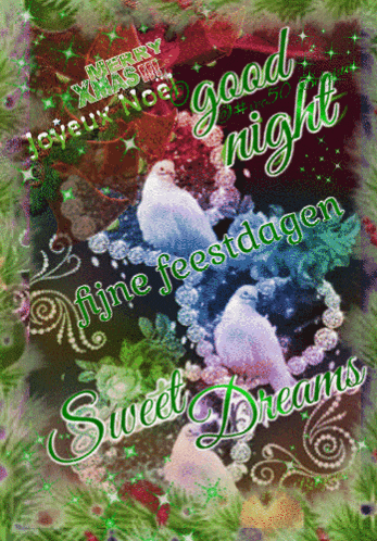 a christmas greeting card with birds and the words sweet dreams