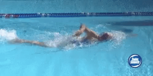 Swimming Freestyle Swimming GIF - Swimming Freestyle Swimming GIFs