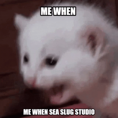 Sea Slug Studio Silly Cat GIF - Sea Slug Studio Silly Cat GIFs