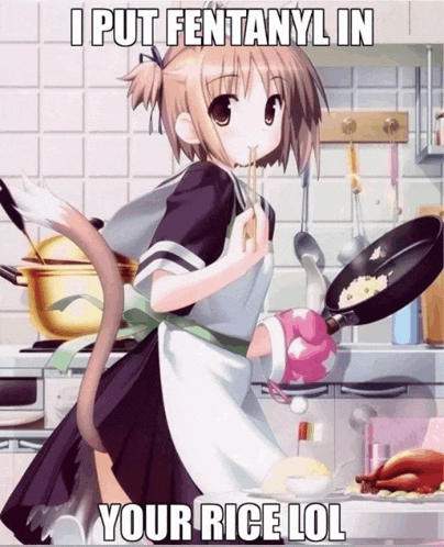 a picture of a girl cooking with the caption " i put fentanyl in your rice lol " on the bottom