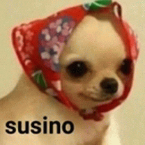 Susino GIF - Susino GIFs