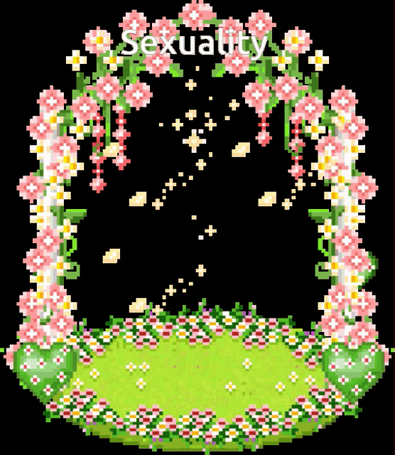 a pixel art of flowers and the word sexuality on a black background