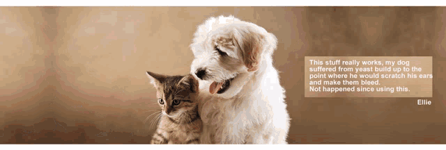 a dog and a cat are standing next to each other with a caption that says this stuff really works